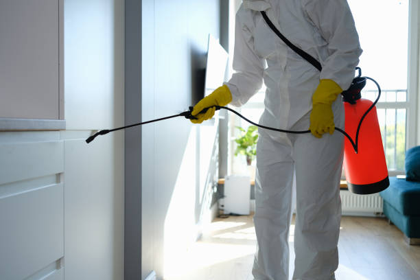 Best Mold Remediation Services  in Mariemont, OH